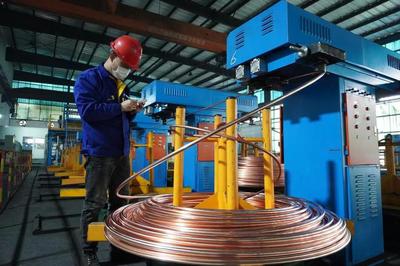 頭雁領(lǐng)航，雁陣齊飛 上海金山“光電傳輸谷”驅(qū)動金屬制品產(chǎn)業(yè)集群提級增效