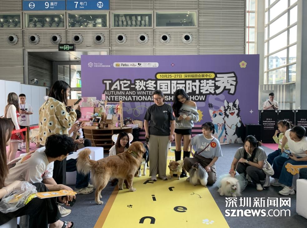 聚焦萌寵新生活，第12屆深圳國際寵物展 生活美容引領新商機